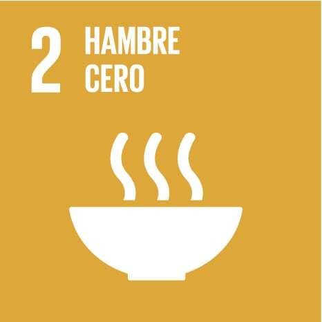 OBS_Icon_02_Hambre_cero