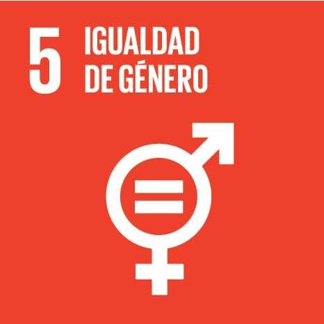 OBS_Icon_05_Igualdad_de_genero