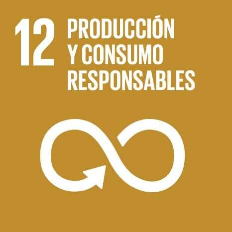 OBS_Icon_12_Produccion_y_consumo_responsables