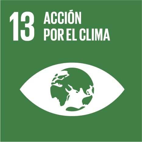 OBS_Icon_13_Accion_por_el_clima