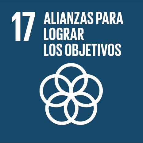 OBS_Icon_17_Alianzas_para_lograr_los_objectivos